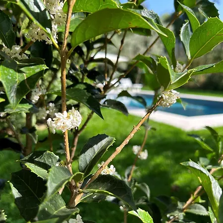 Villa Lilla - Luxury Pool And Wine With View *