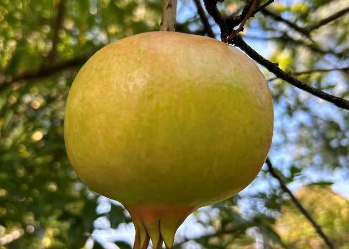 Lilla - Luxury Pool And Wine With View