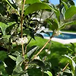 Vila Lilla - Luxury Pool And Wine With View *