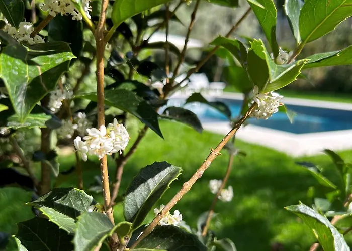 Villa Lilla - Luxury Pool And Wine With View *