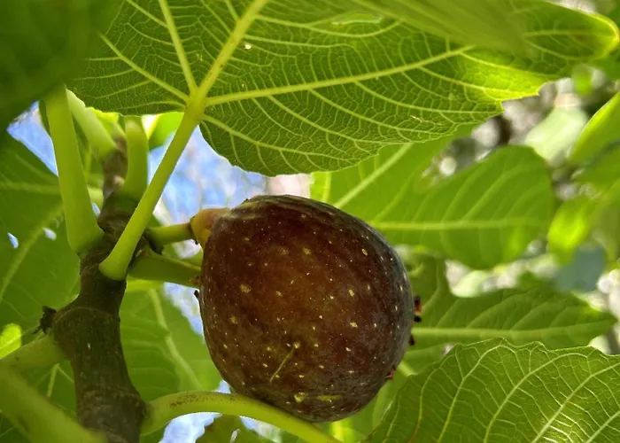 Lilla - Luxury Pool And Wine With View Villa Bellagio